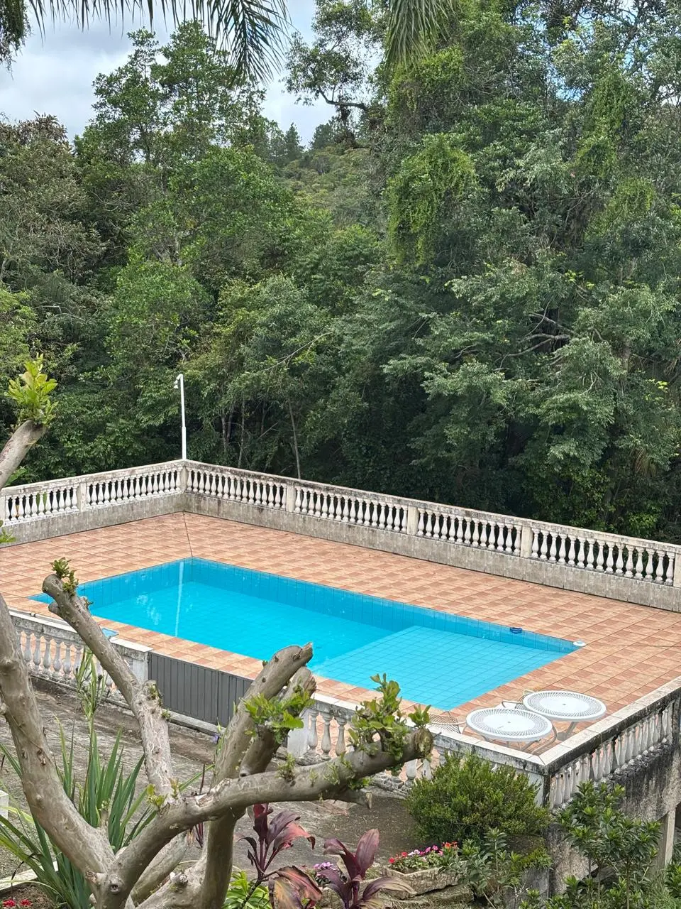 Área da piscina cercada pela natureza
