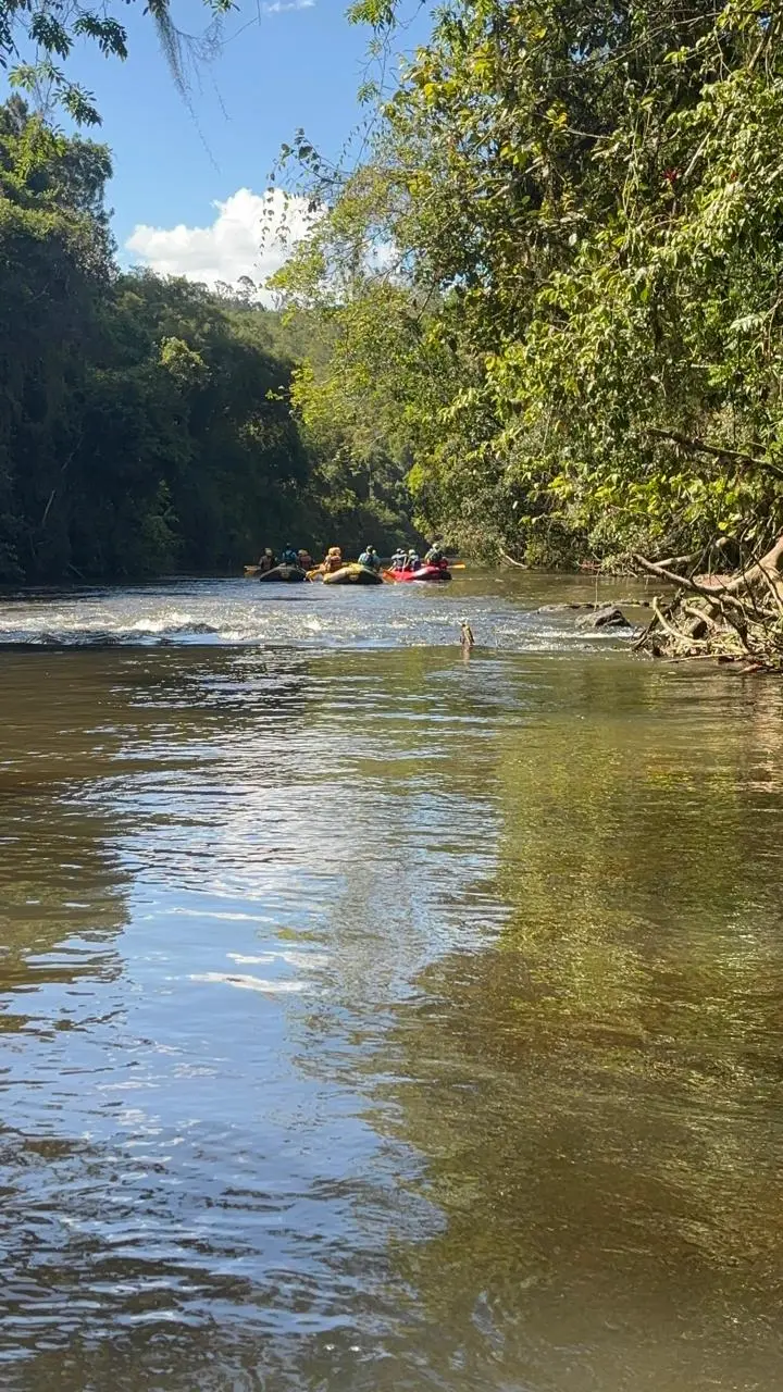 Natureza às margens do Rio Juquiá